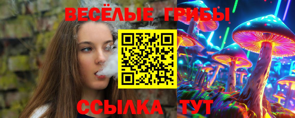 Псилоцибиновые грибы мицелий Всеволожск